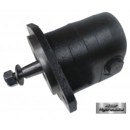 Гидравлический мотор TUROLLA 83012971 GEAR MOTOR