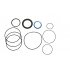 Danfoss 151B0129 SEAL KIT OMV series 2