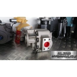 Гидравлический насос RPN-450245 hydraulic pump